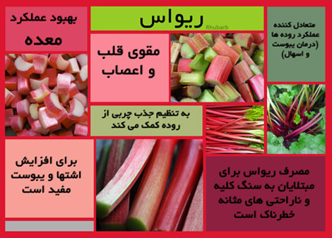 
			
		ریواس و خواص شگفت انگیز آن
		
