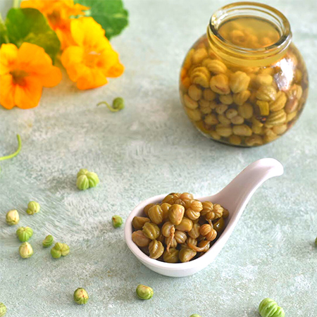 نکاتی برای درست کردن ترشی کبر طرز درست کردن ترشی کبر