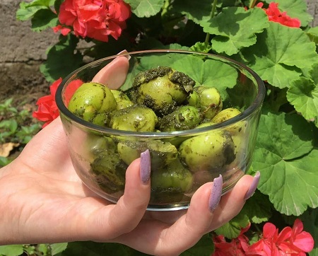 
			
		دستور تهیه هلی کتنی دسر خوشمزه و منحصر بفرد مازندرانی
		طرز تهیه هلی کتنی، دسر خوشمزه مازندران