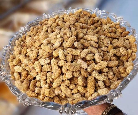 طرز خشك كردن توت سفيد خشك كردن توت سفيد در خانه,طرز خشك كردن توت سفيد