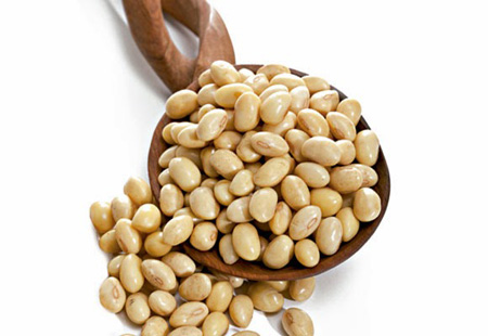 خواص گیاه سویا,خاصیت سویا,مضرات و خواص سویا
