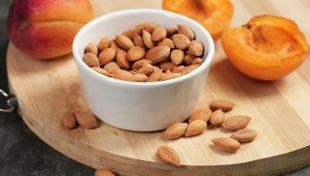 هسته زردآلو بو داده: طرز تهیه و نکات ایمنی که باید بدانیدچگونه هسته زردآلو را بو دهیممواد و ابزار مورد نیازمراحل استخراج هسته زردآلومراحل بو دادن هسته زردآلونکات ایمنیکاربردهای هسته زردآلوی بو دادههشدار سوالات متداول درباره چگونه هسته زردآلو را بو دهیمنتیجه‌گیری