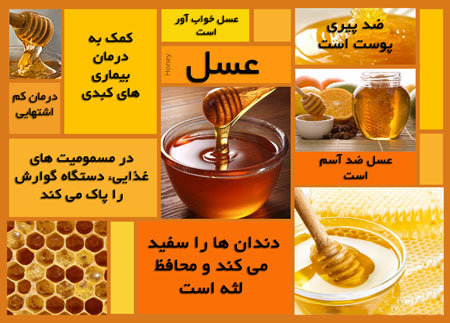 
			
		آشنایی با عسل و خواص دارویی آن
		