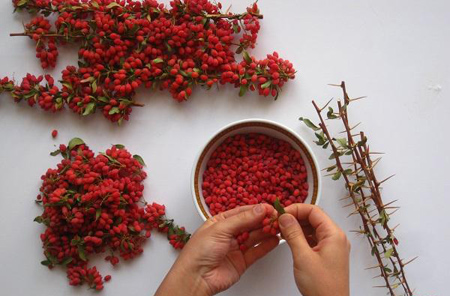 
			
		روش های خشک کردن زرشک در خانه
		