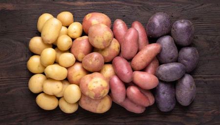 چگونه سیب&zwnj;زمینی را نگهداری کنیم