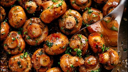 طرز تهیه 13 نوع غذای لذیذ و خوشمزه با قارچ
آموزش انواع غذا با قارچ