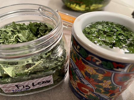 چای برگ انجیر , تفاله چای برای برگ انجیری, دستور تهیه چای برگ انجیر