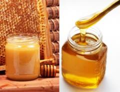 
			
		شکرک زدن عسل چیست و دلایل آن کدامند؟
		شکرک زدن عسل نشانه چیست؟