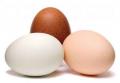 
			
		نکات مهم در نگهداری تخم مرغ
		