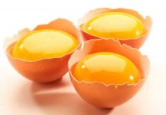 
			
		آشنایی با خواص شگفت انگیز زرده تخم مرغ
		
آنچه که باید درباره خواص زرده تخم مرغ بدانید  