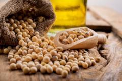 
			
		روش نگهداری سویا در حالت های مختلف
		روش نگهداری سویا