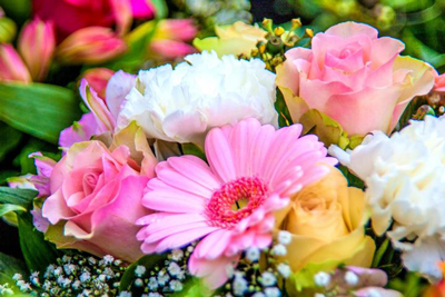 اشعار زیبا درباره گل