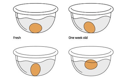 
			
		نحوه ی تشخیص سن تخم مرغ
		