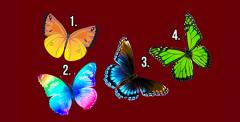 کدام پروانه توجه شما را جلب کرد؟تست روانشناسی: برای کشف اسرار روح خود پروانه ی خود را انتخاب کنید و پاسخ آن را ببینید. تست روانشناسی : پروانه ها و اسرار روح