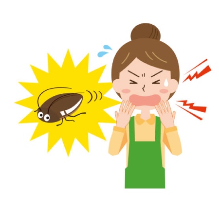مطلب طنز درباره ترس خانم ها از سوسک
طنز درباره سوسک و ترس خانم ها