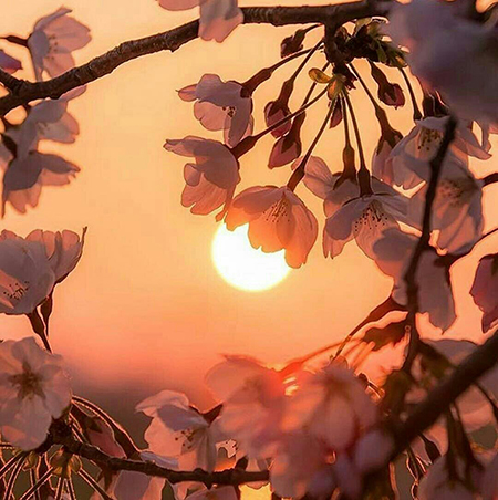جملات مثبت برای زندگی جملات انگیزشی برای زندگی, جملات الهامبخش زندگی