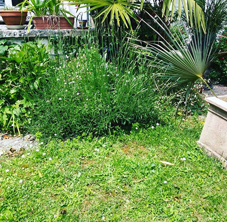معما همراه با جواب،معما تصویری معما های تصویری, معما های تصویری با جواب