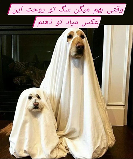 عکس خنده دار عکس نوشته های خنده دار, عکس نوشته های خنده دار