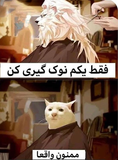 عکس نوشته های خنده دار و طنز جدید عکس نوشته های خنده دار, عکس نوشته های خنده دار