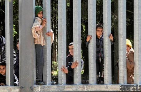 پناهجویان در دیوار مرزی بین بلاروس و لهستان/ رویترز عکسهای جالب,عکسهای جذاب,پناهجویان
