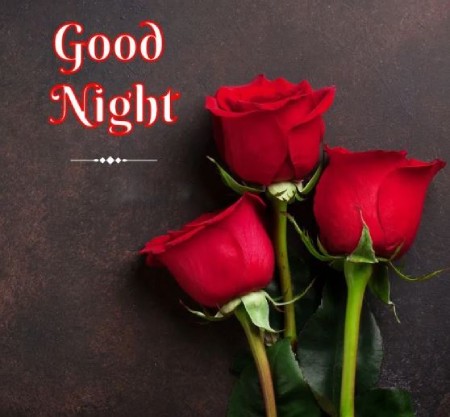 عکس نوشته های کوتاه شب بخیر عکس نوشته شب بخیر زیبا,عکس نوشته شب بخیر,عکس نوشته های کوتاه شب بخیر