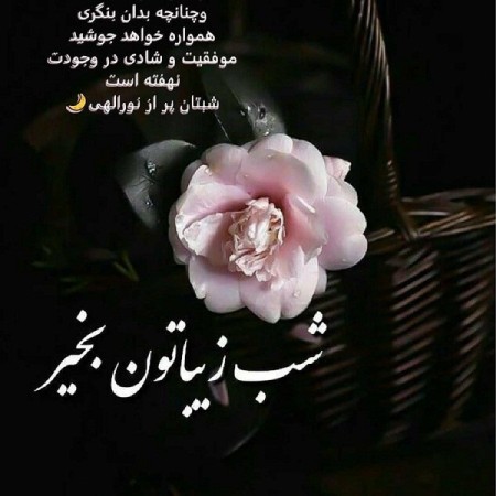عکس نوشته رمانتیک برای شب بخیر گفتن عکس نوشته شب بخیر زیبا,عکس نوشته شب بخیر,عکس نوشته رمانتیک برای شب بخیر گفتن