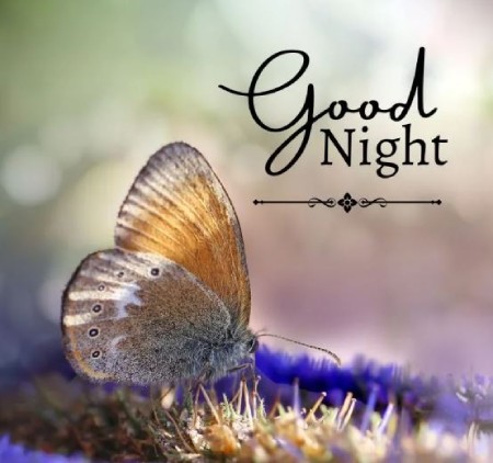 عکس نوشته شب بخیر عکس نوشته شب بخیر زیبا,عکس نوشته شب بخیر,عکس نوشته شب بخیر زیبا و خاص