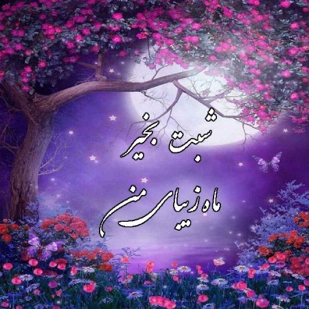 عکس نوشته شب بخیر عکس نوشته شب بخیر زیبا,عکس نوشته شب بخیر,عکس نوشته شب بخیر زیبا و خاص
