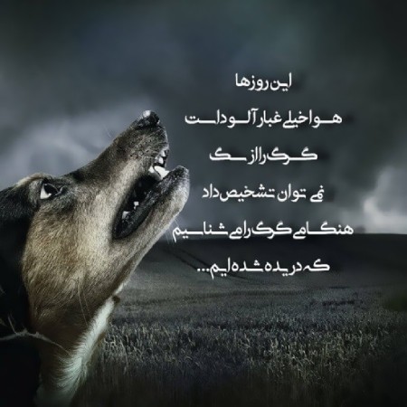 عکس پروفایل گرگ با نوشته عکس نوشته درباره گرگ,عکس نوشته های انگیزشی درباره گرگ,عکس پروفایل گرگ با نوشته