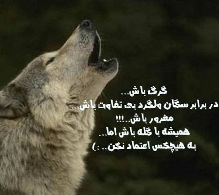 عکس نوشته گرگ عکس نوشته درباره گرگ,عکس نوشته های انگیزشی درباره گرگ,عکس نوشته گرگ