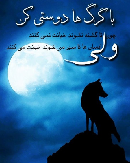 عکس نوشته های انگیزشی درباره گرگ عکس نوشته درباره گرگ,عکس نوشته های انگیزشی درباره گرگ,عکس نوشته هایی درباره گرگ