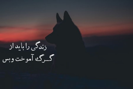 عکس پروفایل گرگ با نوشته عکس نوشته درباره گرگ,عکس نوشته های انگیزشی درباره گرگ,عکس پروفایل گرگ با نوشته