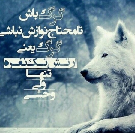 عکس پروفایل گرگ با نوشته عکس نوشته درباره گرگ,عکس نوشته های انگیزشی درباره گرگ,عکس پروفایل گرگ با نوشته
