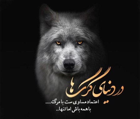 عکس نوشته های پروفایلی با تصاویر گرگ عکس نوشته درباره گرگ,عکس نوشته های انگیزشی درباره گرگ,عکس نوشته های پروفایلی با تصاویر گرگ