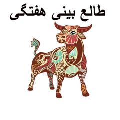 
			
		طالع بینی هفتگی (10 اردیبهشت تا 16 اردیبهشت 1401)
		فال هفته (10 اردیبهشت تا 16 اردیبهشت 1401)