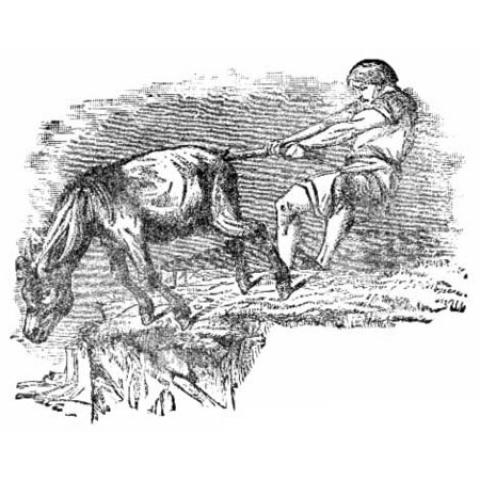 
			
		حکایت «خر در گل مانده»
		