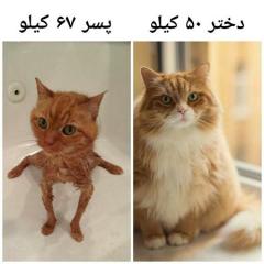 عکس نوشته های خنده دار: دنیا را از زاویه ای دیگر ببینید 