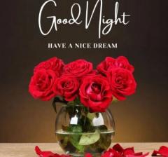 عکس نوشته شب بخیرعکس نوشته های کوتاه شب بخیر