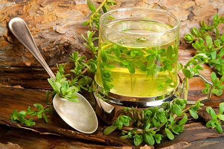 تداخل گیاه باکوپا با داروهای دیگر گیاه باکوپا , گیاه باکوپا مونیری , تداخل گیاه باکوپا با داروهای دیگر