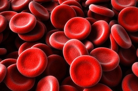 
			
		چه چیزی باعث افزایش تعداد گلبول های قرمز خون می شود؟
		افزایش تعداد گلبول قرمز ، علل و نشانه ‌های آن چیست؟