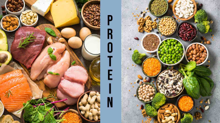 پروتئینهای گیاهی میتوانند منبع عالی فیبر و مواد مغذی باشند پروتئین گیاهی یا حیوانی, منابع پروتئین