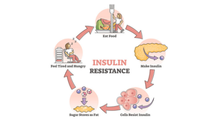 مقاومت به انسولین, تست مقاومت به انسولین