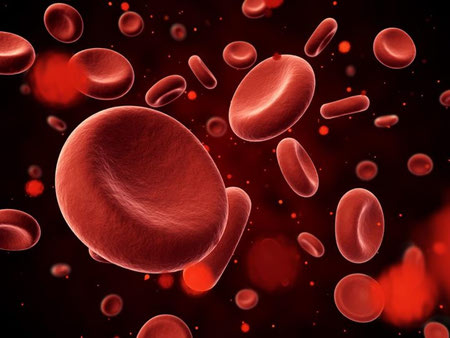 
			
		دلایل و راههای درمان تالاسمی مینور
		تالاسمی مینور چیست و چگونه درمان می شود؟