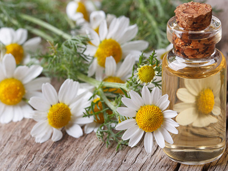 
			
		8 مزیت ثابت شده روغن بابونه و نحوه استفاده از آن
		آشنایی با خواص و فواید روغن بابونه پرکاربرد برای سلامتی