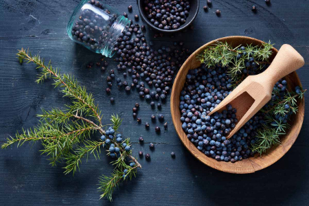از ابهل در طب سنتی برای درمان دیابت استفاده میشود خواص ابهل, گیاه ابهل