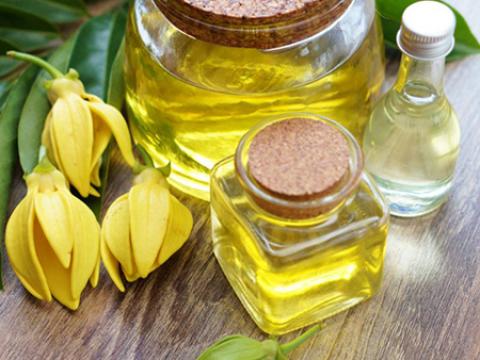 
			
		روغن یلانگ یلانگ چیست؟ خواص و عوارض روغن یلانگ یلانگ
		