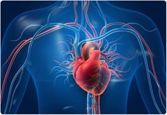
			
		6 تغییر فیزیکی که وقتی قلب شما در معرض خطر جدی است اتفاق می افتد
		6 نشانه که ممکن است بیماری قلبی داشته باشید