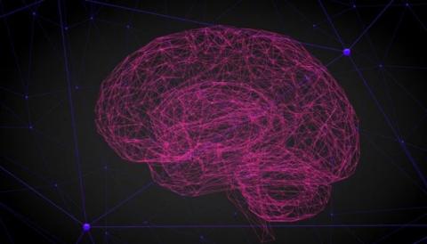 
			
		آزمایش جدیدی که تغییرات مغز قبل از زوال عقل را تشخیص می‌دهد
		
