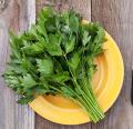 
			
		خواص شگفت انگیز چای جعفری
		