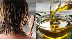 خواص روغن زیتون برای موهای خشککاربردهای روغن زیتون برای موهای خشکروش‌های دیگر استفاده از روغن زیتون برای مراقبت از موهای خشکمراقبت از موهای خشک با روغن زیتون در طولانی مدتنکات اضافیسوالات متداول درباره روغن زیتون برای موهای خشکسخن پایانی مقاله درباره روغن زیتون برای موهای خشک